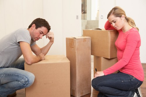 Family organising boxes for household storage in Finchley